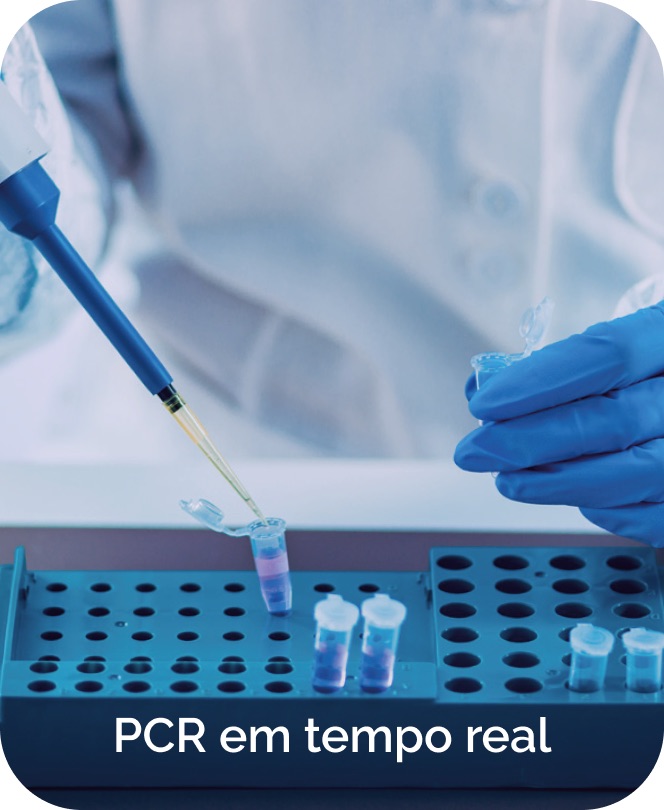 PCR e PCR em tempo real
