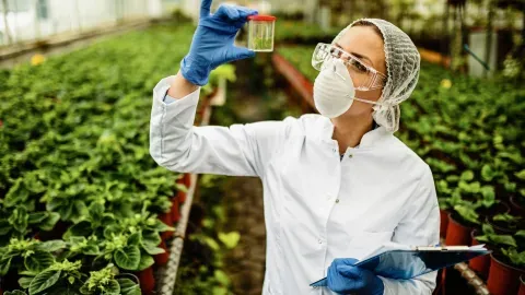 Pureza do DNA e RNA é fundamental para o sucesso do CRISPR no agronegócio