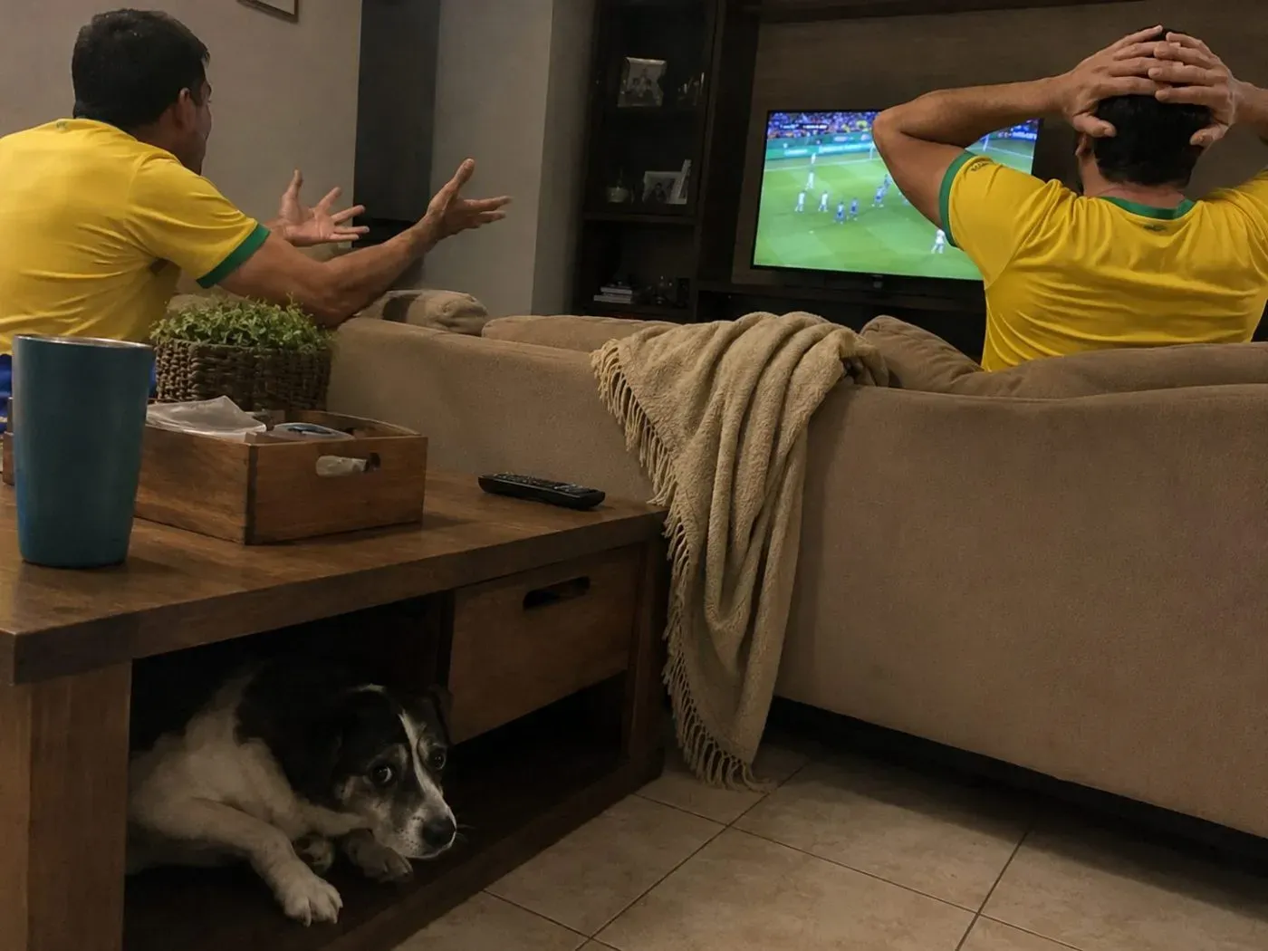 Brasil em campo, coração na mão e pet em segurança